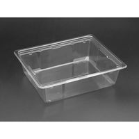 リスパック サラダ容器 バイオカップ キューブNK 50-70B PABK521 1ケース(300個(50個×6)（直送品）