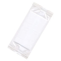 九州紙工 不織布おしぼり 使い捨ておしぼり小 W-21 1ケース(4000個(100個×40)（直送品）