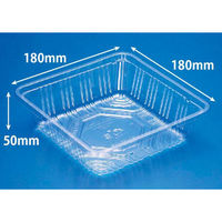 リスパック フルーツ容器 ニュートフルーツ K-81 新 FAST111 1袋(100個)（直送品）