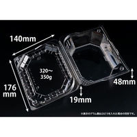 リスパック フルーツ容器 バイオ きらめき 18-14L(60) PBTV653 1ケース(400個(50個×8)（直送品）