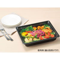 リスパック サラダ容器 バイオカップ キューブNK 50-45B PABK516 1ケース(300個(50個×6)（直送品）