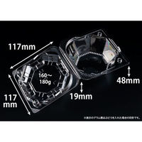 リスパック フルーツ容器 バイオ きらめき 12-12L(60) PBTV113 1袋(50個)（直送品）