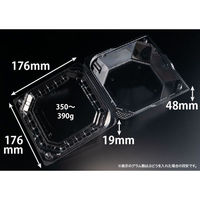 リスパック フルーツ容器 バイオ きらめき 18-18S(60) PBTV673 1ケース(300個(25個×12)（直送品）