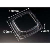 リスパック バイオ のぞみ 角170 OC外 RHHQ533 1袋(50個)（直送品）