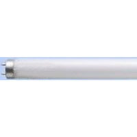 パナソニック 直管蛍光灯 ハイライト 20形 スタータ形 白色 FL20SSW18RF3 10本（わけあり品）