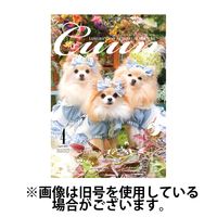 Cuun（クーン）2024/08/10発売号から1年(12冊)（直送品）