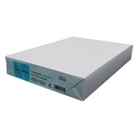 スマートバリュー カラーペーパーA3 1500枚 A267J