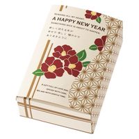 ヘッズ お年賀ギフトボックス-S(20枚) NE-GS 1セット(5パック×20枚)（直送品）