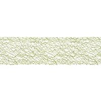 ヘッズ ウェブレースリボン-6/グリーン(1巻) WBL-R6 1セット(10パック×1巻)（直送品）