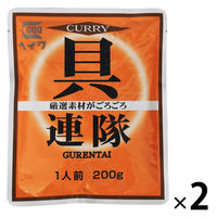 ヘイワ カレー具連隊 1人前・200g 1セット（1袋×2）レトルト 平和食品工業