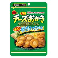 ブルボン ミニチーズおかき鮮烈わさび味CH 4901360357888 1セット(26g×24個)（直送品）