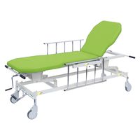 【軒先渡し】高田ベッド 手動GSストレッチャー D型 25253700 ビニルレザー抹茶 TB-1521(60X48-86CM) 1台（直送品）