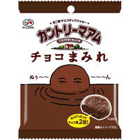 不二家 カントリーマアム チョコまみれ 4902555271200 1セット(48g×20個)（直送品）