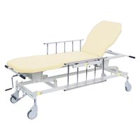 【軒先渡し】高田ベッド 手動GSストレッチャー D型 25253700 ビニルレザークリーム TB-1521(60X48-86CM) 1台（直送品）