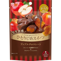 栄光堂ファクトリー ひとりじめスイーツアップルチョコ 4573580631804 1セット(65g×12個)（直送品）