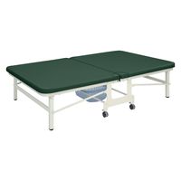 ynzcxbh LOx_ 25353706 rjU[fBO[ TB-466(120X190X45CM) 1iij