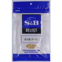 業務用」 GABAN 松の実 21372 1ケース 1kg×10PC 常温（直送品