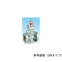 ヨシタケ FCD/SUS 減圧弁(フランジ・蒸気・低圧) GP-1002S-100A 1個 64-4023-39（直送品）