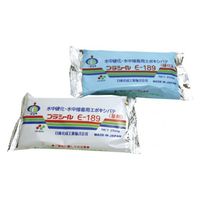 日東化成工業 プラシール E-189 500g #2608 1組