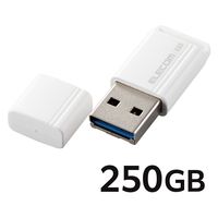 SSD 外付け 超小型 USBメモリ型 ポータブル キャップ式 ホワイト ESD-EXS エレコム
