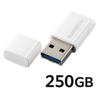SSD Ot 250GB ^ USB3.2(Gen2)  zCg ESD-EXS0250GWH GR 1