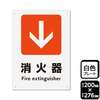 KALBAS 標識 消火器↓(下) プレート 200×276mm 1袋(2枚入)　KTK1247（直送品）