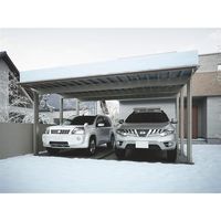 四国化成建材 スマートポートHG H6150 ワイドタイプ 熱線吸収ポリカーボネート 標準高 SHGS-K6150SB 1個（直送品）