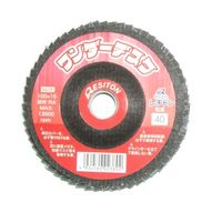 レヂトン ワンダーヂスク 100X15 RA100 1セット(10PC)（直送品）