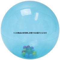 rcHƎ tVJ{[ u[ C 000300561 1