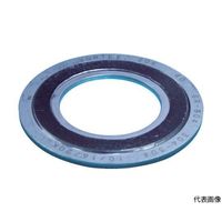 ニチアス GRボルテックスガスケット TOMBO No.1834RーGRーEEE 15A 1834R-GR-EEE 10/20K15A 1枚（直送品）