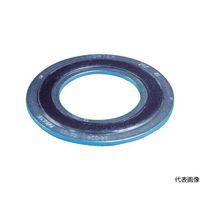 ニチアス GRボルテックスガスケット TOMBO 1834RーGRーESS 10K225A T4.5X10KX225A 1枚（直送品）