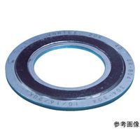 ニチアス GRボルテックスガスケット TOMBO 1834R-GR-EEE 10K250A 1枚 64-8344-68（直送品）