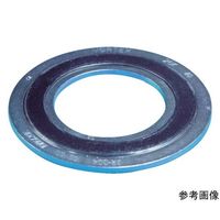 ニチアス GRボルテックスガスケット TOMBO 1834R-GR-ESS T4.5X10KX175A 1枚 64-8344-75（直送品）