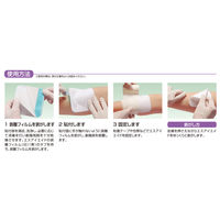 アルケア エスアイエイド 5号（10×10cm） 18752 1箱（50枚入）