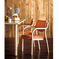 アイリスチトセ 福祉用イス ダークフレーム/アイボリー MD-V-DBR-IV スタッキング リーズチェア 介護 安定 幅520mm 座面高420mm