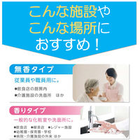 ライオン キレイキレイ 薬用泡ハンドソープ フルーツミックスの香り 詰め替え 業務用2L 1個 【泡タイプ】（直送品）