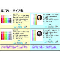 ラピス　ジュニア用歯ブラシ　ハッピーカラー12色　LA-210　1箱（12本入）