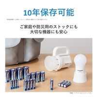 パナソニック エボルタNEO 単3 LR6NJN/40S 1パック（40本：2本入×20パック）