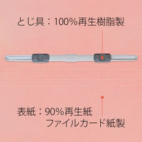 プラス エコノミーフラットファイル A4 タテ ピンク 2穴 No.021E 1パック（10冊入）（直送品）