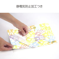 フェローズ　ラミネートフィルム　Image　Last（イメージラスト） A4　25枚