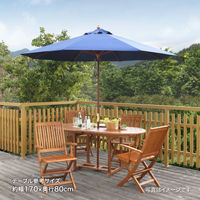 タカショー ウッドパラソル 2.7m ネイビーブルー PAS-27BL 1個