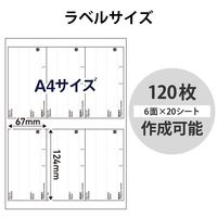 エレコム 宛名・表示ラベル/レターパック対応/お届け先ラベル/120枚/6面×20シート EDT-LPAD620 1袋（直送品）