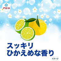 アリエール 液体 超抗菌プレミアム 洗濯槽まるごと除菌 本体 700g 1個 洗濯洗剤 P＆G
