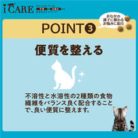i CARE（アイケア）腸内環境ケア 12ケ月頃までの子ねこ用 フィッシュ＆チキン味 国産 1.2kg（300g×4袋）3袋 アイシア キャットフード