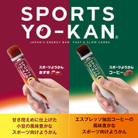 井村屋　スポーツようかん　あずき　1セット（1箱（5本入）×3）　スティックタイプ