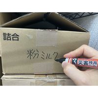 寺西化学 マジックインキ災害時用マーカー極太・中字 MSGCーT1ー2P 1パック（2本入）