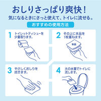 ウェットティッシュ エリエール ポケットウエットティシュー 99％純水 トイレに流せるタイプ 携帯用 1セット（1パック(7枚×6個入)×3）大王製紙