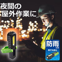 朝日電器 LED防雨ワークライト DOP-WL20(G) 1個