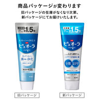 【大容量】 薬用ピュオーラ 歯磨き粉 クリーンミント 虫歯・口臭・歯肉炎予防 170g 1本 花王