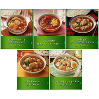 ハウス食品 スープカリーの匠 ペーストタイプ濃厚スープ